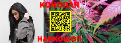 гашик Тулун