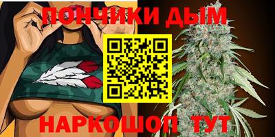 гашик Тулун