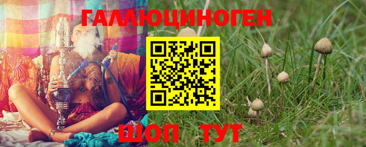 Галлюциногенные грибы Psilocybine cubensis  Вход с VPN  Псилоцибиновые грибы MAGIC MUSHROOMS  Норильск 